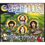 The Sheepdogs - Trying To Grow '2007