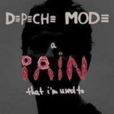 Depeche Mode - A Pain That I'm Used To '2005