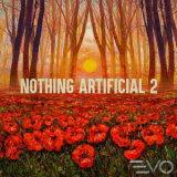 Steve Fawcett - Nothing Artificial 2 '2019