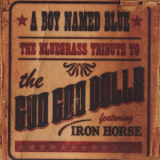 Iron Horse - A Boy Named Blue - The Bluegrass Tribute to the Goo Goo Dolls '2009