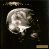 David Sylvian - Godman (maxi Single) '1999