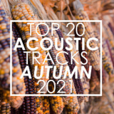 Guitar Tribute Players - Top 20 Acoustic Tracks Autumn 2021 (instrumental) '2021