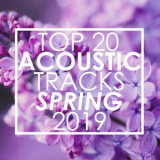 Guitar Tribute Players - Top 20 Acoustic Tracks Spring 2019 (Instrumental) '2019