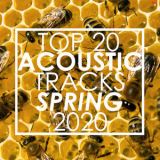 Guitar Tribute Players - Top 20 Acoustic Tracks Spring 2020 (Instrumental) '2020