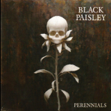 Black Paisley - Perennials '2018