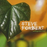 Steve Forbert - Evergreen Boy '1999