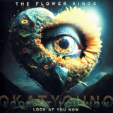 The Flower Kings - Look At You Now '2023