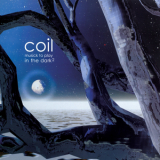 Coil - Musick to Play in the Dark, Vol. 2 '2000