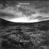 David Darling - Dark Wood '1995