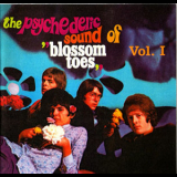 Blossom Toes - We Are Ever So Clean [The Psychedelic Sound Of Blossom Toes Vol.I] '1967