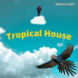 Francesco Digilio - Tropical House (#Winter2021) '2021