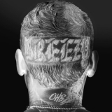 Chris Brown - Breezy '2022
