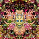 Shpongle - Carnival of Peculiarities '2021