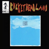 Buckethead - Home In The Sky '2024