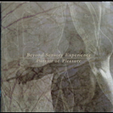 Beyond Sensory Experience - Pursuit Of Pleasure '2005