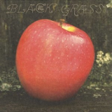 Little Wings - Black Grass '2015