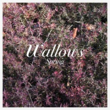 Wallows - Spring '2018