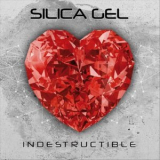 Silica Gel - Indestructible '2020