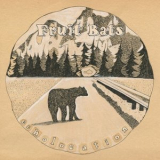 Fruit Bats - Echolocation '2001