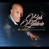 Bob Baldwin - Mellowonder/Songs in the Key of Stevie '2015