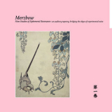 Merzbow - Nine Studies of Ephemeral Resonance Volume 1 '2024