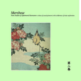 Merzbow - Nine Studies of Ephemeral Resonance Volume 2 '2024