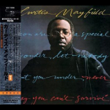 Curtis Mayfield - Never Say You Cant Survive '1977