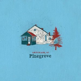 Pinegrove - Amperland, NY '2021