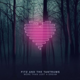 Fitz & The Tantrums - More Than Just A Dream '2013