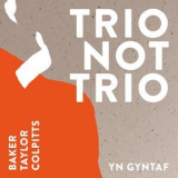 Aidan Baker - Trio Not Trio - Yn Gyntaf '2023