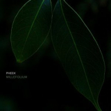 Pheek - Millefolium '2021