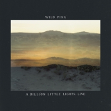 Wild Pink - A Billion Little Lights Live '2021