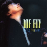 Joe Ely - Settle For Love '2004