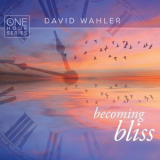 David Wahler - Becoming Bliss One Hour Series '2016