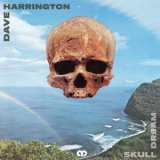 Dave Harrington - Skull Dream '2024