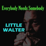 Little Walter - Everybody Needs Somebody '2024