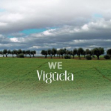 Viguela - We '2024