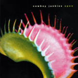 Cowboy Junkies - Open '2001