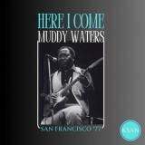 Muddy Waters - Here I Come (Live San Francisco 77) '2024