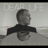 David Gray - Dear Life '2025