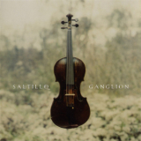 Saltillo - Ganglion '2006