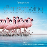 The Cinematic Orchestra - Mystery Of The Flamingos '2008
