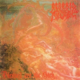 Morbid Angel - Blessed Are the Sick (Japanese Edition) '1991