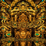 Heyoka - Whomp Gland & Pineal Dub '2008