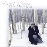 David Nevue - While The Trees Sleep '1995