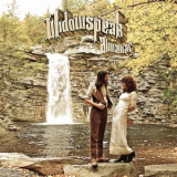 Widowspeak - Almanac '2013