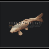 Nighthawks, The - Selection '2007