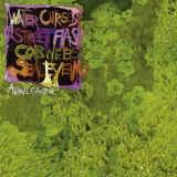 Animal Collective - Water Curses '2008
