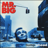 Mr. Big - Bump Ahead '1993