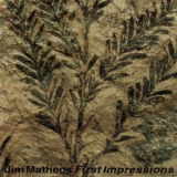 Jim Matheos - First Impressions '1993